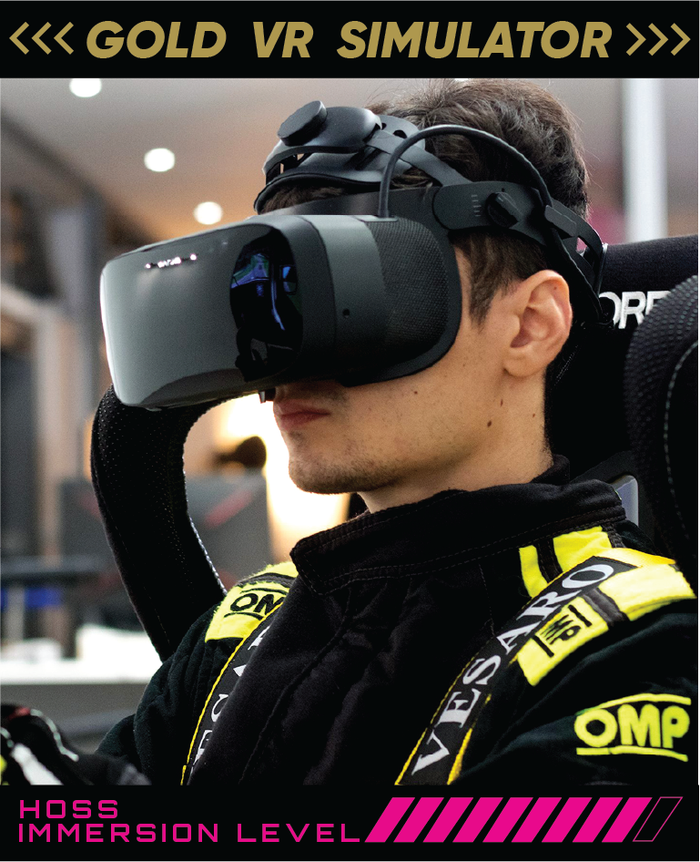 3 - GOLD VIRTUAL REALITY MOTORSPORT SIMULATOR