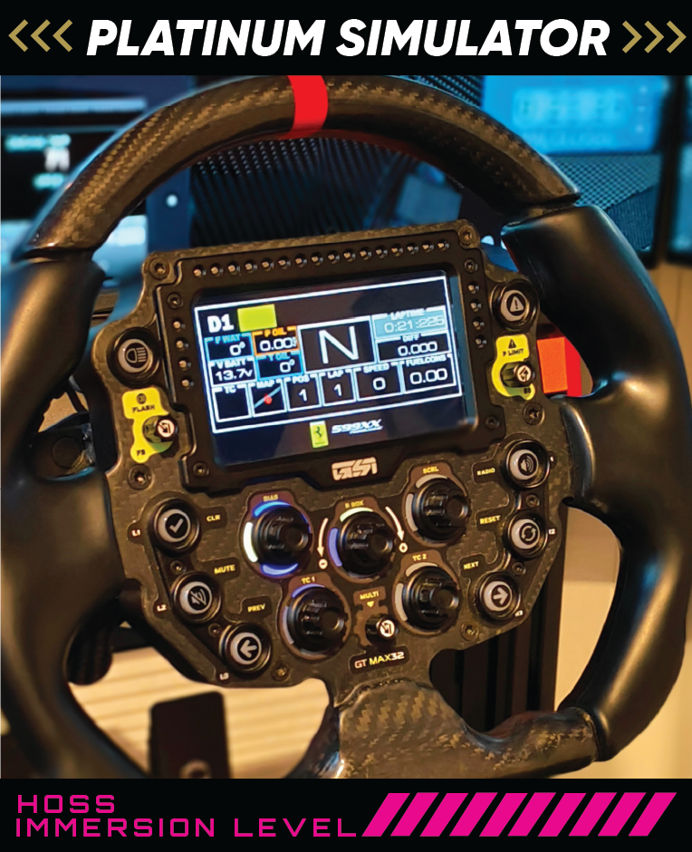 1- PLATINUM MOTION MOTORSPORT SIMULATOR