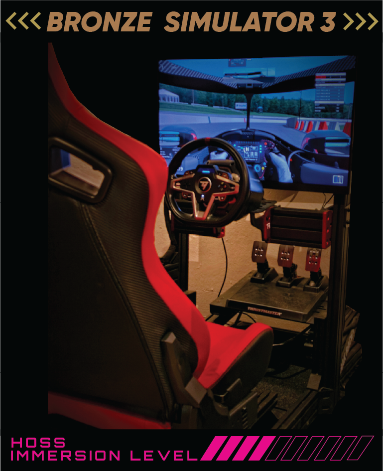 8 -BRONZE MOTORSPORT SIMULATOR 3