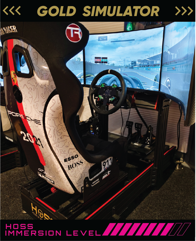 SIMULATOR 2: GOLD TRIPLE SCREEN MOTORSPORT SIMULATOR