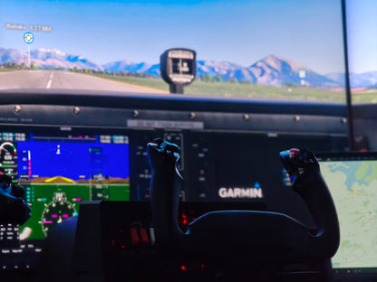 .PLATINUM FLIGHT SIMULATOR