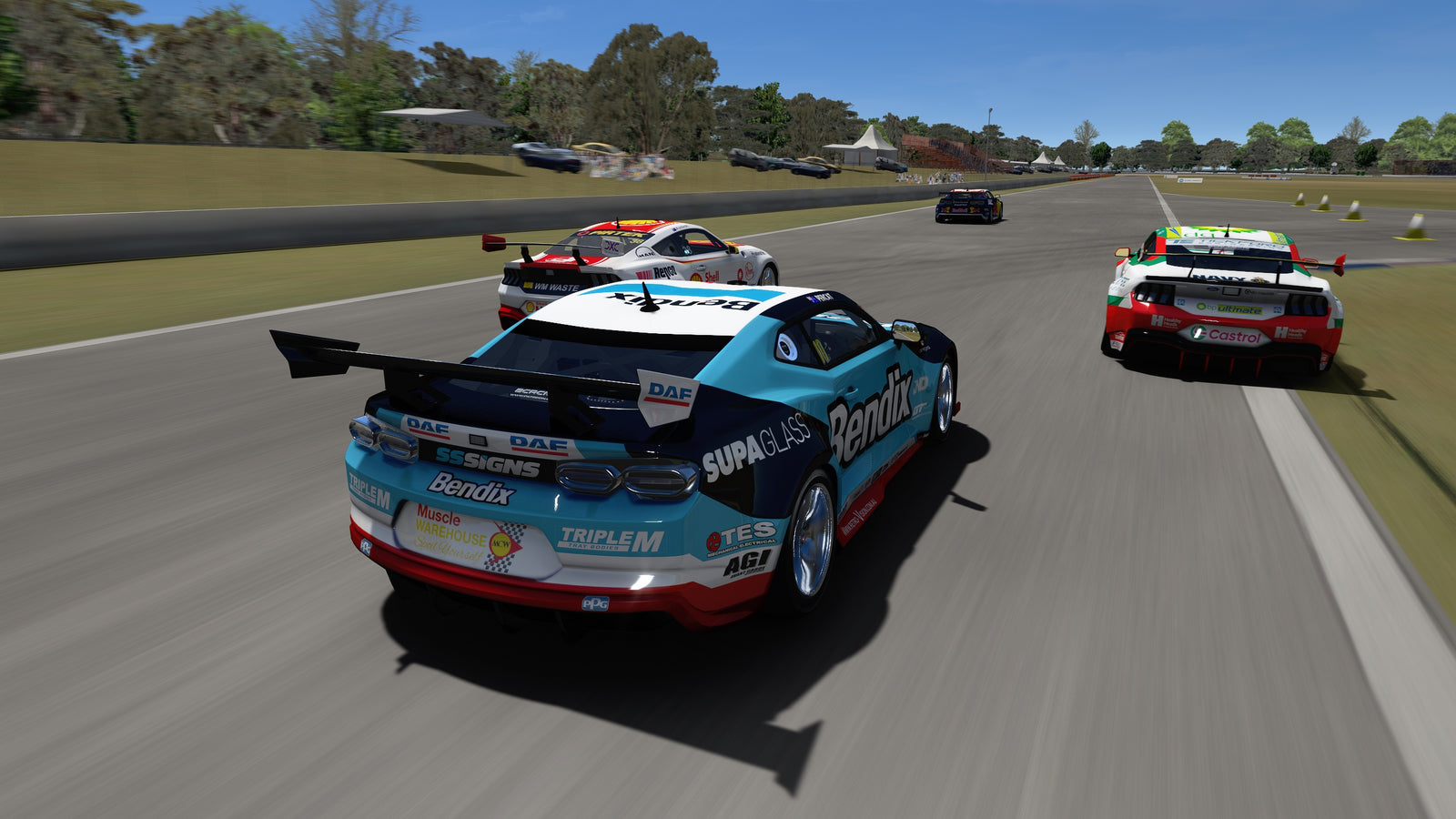 Camaro & Mustang
