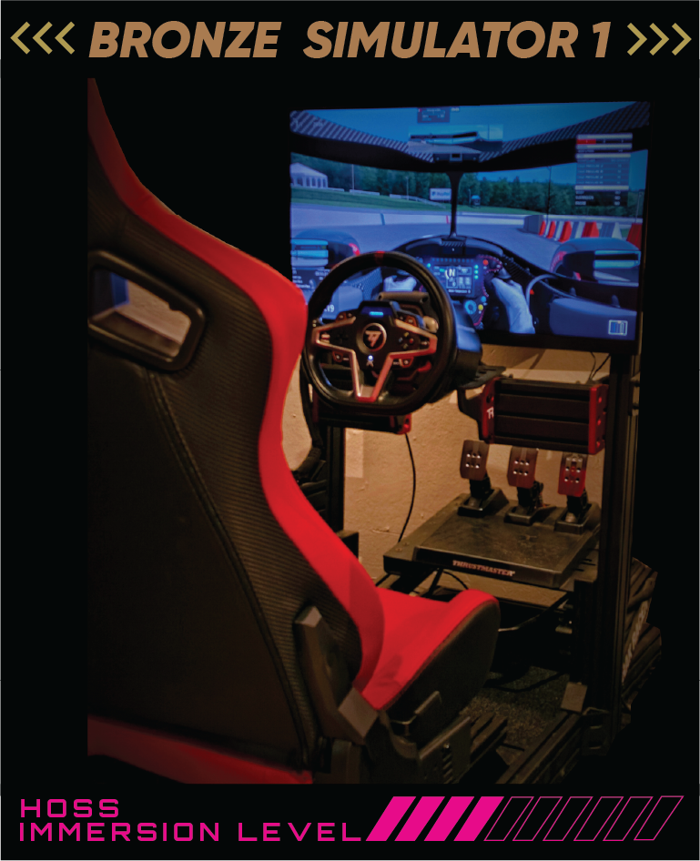 SIMULATOR 6: BRONZE  MOTORSPORT SIMULATOR 1